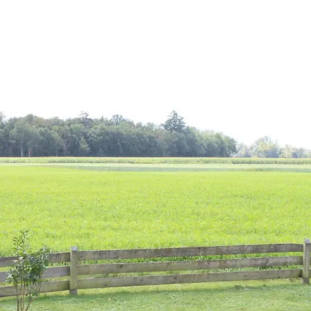 Naturidyll - Wieserhof *